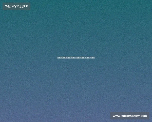 拜仁三名小将在世俱杯期间仍需完成学业任务展现年轻球员多重挑战